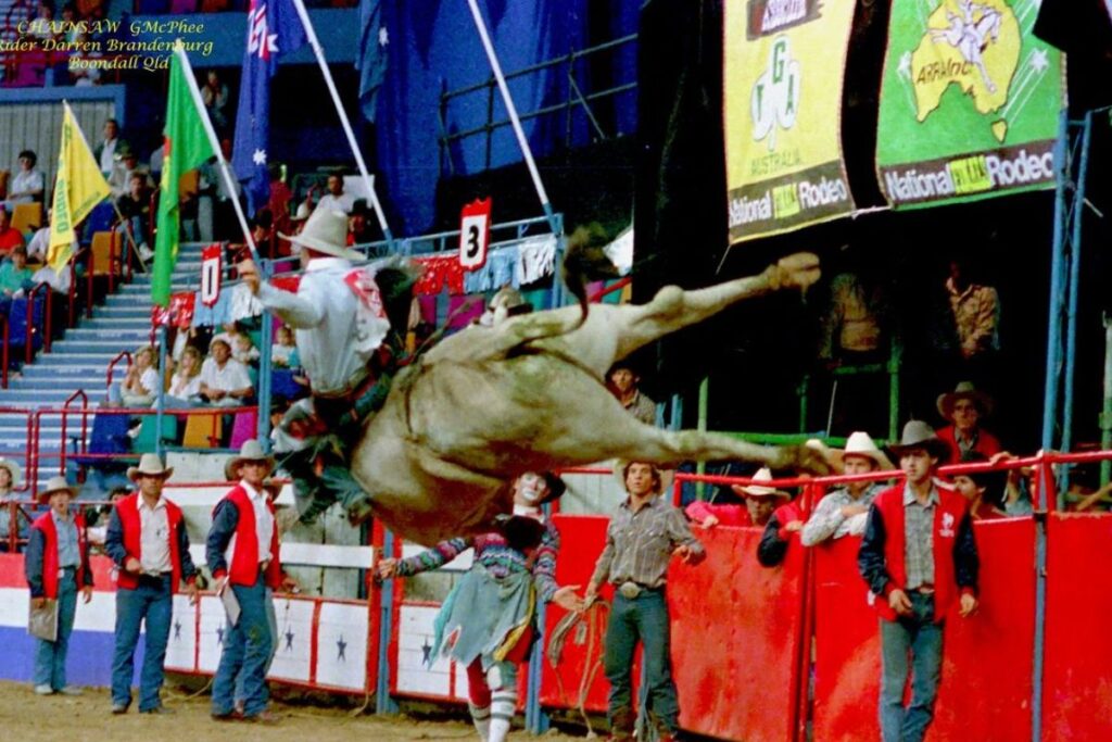 Hamilton Rise Has a Very Famous Friend Hamilton Rise Yass